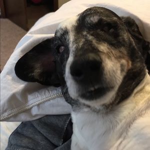 Meet your Posher, Emilee